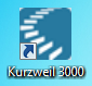 Kurzweil Icon